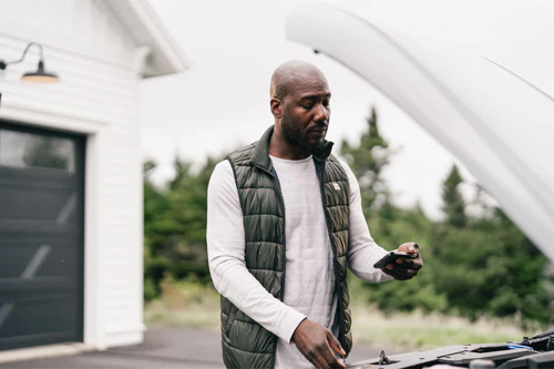 BlueDriver compatibility check image from official product page